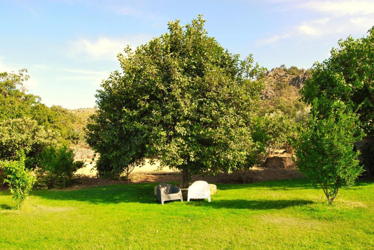 Quinta D'Abegoa Villa Marvão Exterior foto